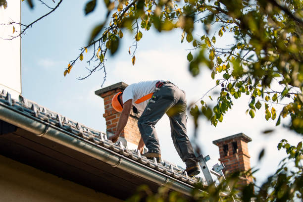 Best Roof Gutter Cleaning  in Burt, MI