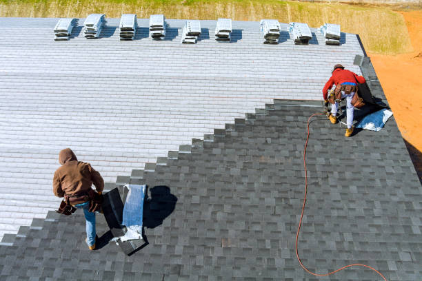 Best Flat Roof Repair Services  in Burt, MI