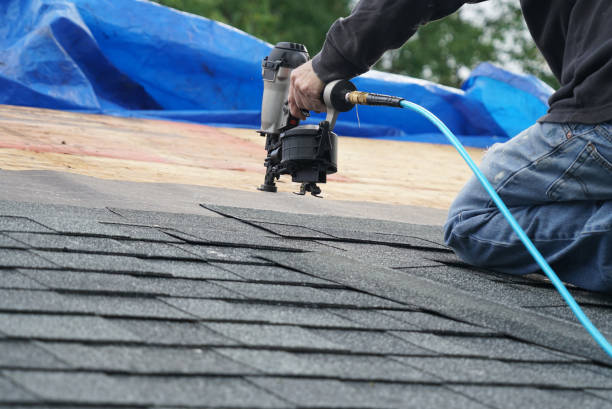 Best Local Roofing Companies  in Burt, MI