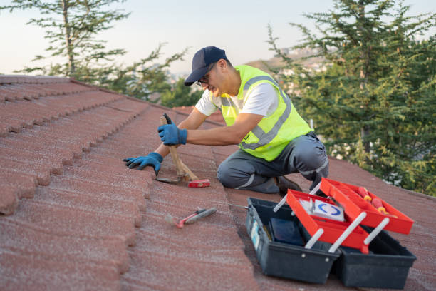 Best Flat Roof Repair Services  in Burt, MI
