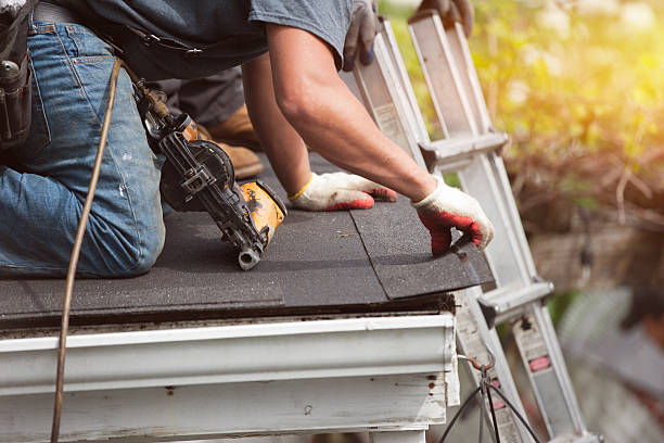 Best Shingle Roofing Installation  in Burt, MI