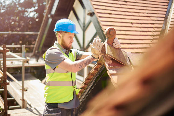 Best Roof Maintenance Services  in Burt, MI